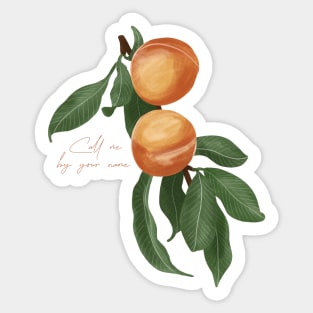 CMBYN Call me by your name Peaches Sticker
